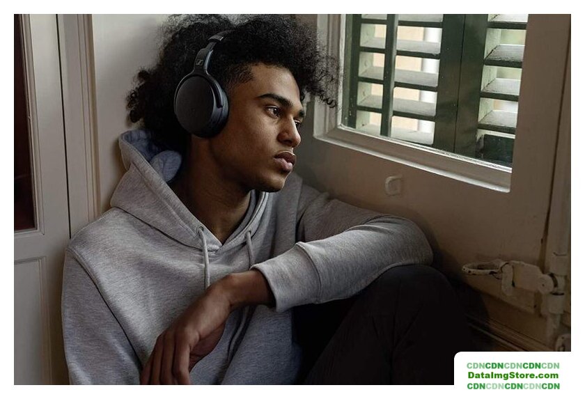 Наушники Sennheiser HD 450BT (черный) - Изображение №7 — buytech