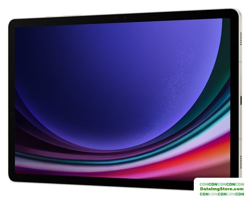 Планшет Samsung Galaxy Tab S9 Wi-Fi SM-X710 12GB/256GB (бежевый) - Изображение №7 — buytech