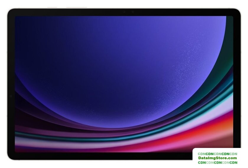 Планшет Samsung Galaxy Tab S9 Wi-Fi SM-X710 12GB/256GB (бежевый) - Изображение №2 — buytech