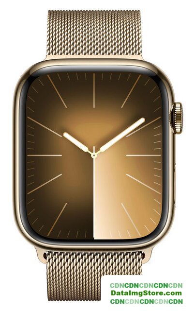 Умные часы Apple Watch Series 9 LTE 45 мм (корпус из нержавеющей стали, золотистый/миланский золотистый) - Изображение №2 — buytech
