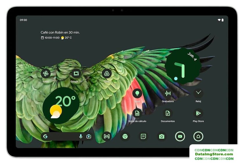 Планшет Google Pixel Tablet 8GB/128GB (лесной орех, без док-станции) - Изображение №1 — buytech