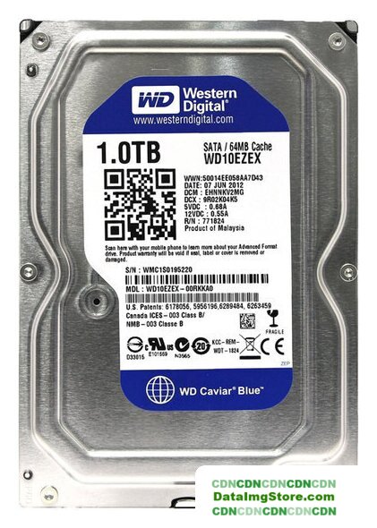 Жесткий диск WD Caviar Blue 1TB (WD10EZEX) - Изображение №1 — buytech