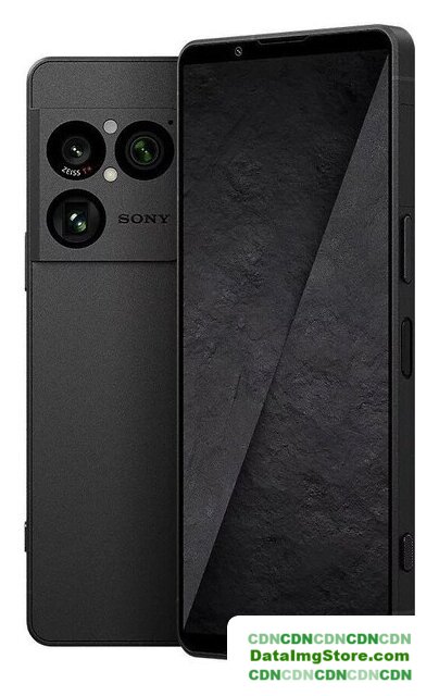 Телефон Sony Xperia 1 VIII XQ-GE74 12GB/256GB (графитовый черный) - Изображение №1 — buytech