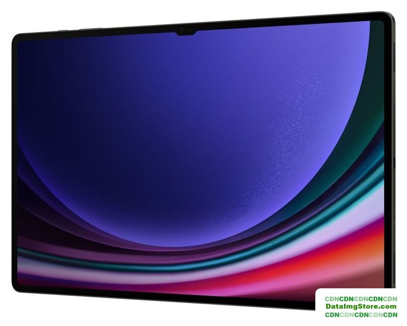Планшет Samsung Galaxy Tab S9 Ultra 5G SM-X916 12GB/512GB (графитовый) - Изображение №7 — buytech
