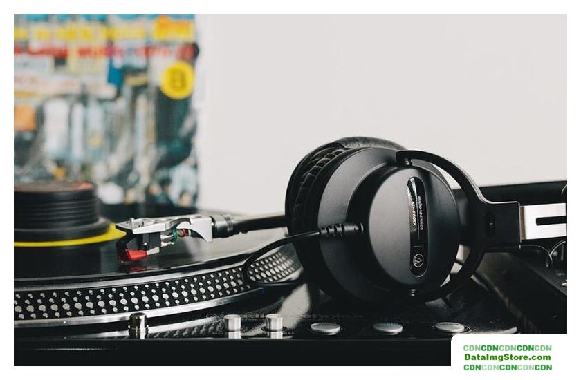 Наушники Audio-Technica ATH-PRO5X (черный) - Изображение №5 — buytech