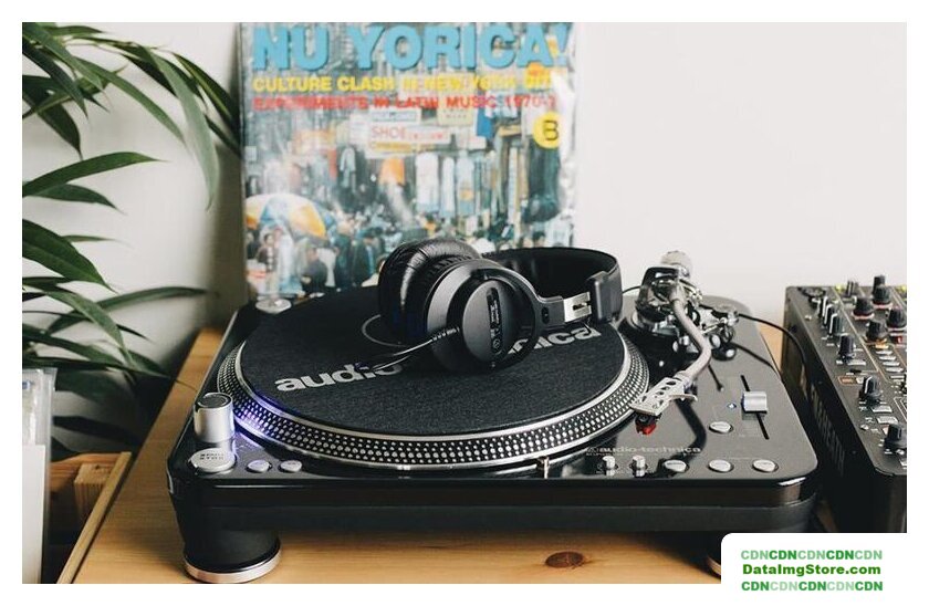 Наушники Audio-Technica ATH-PRO5X (черный) - Изображение №8 — buytech