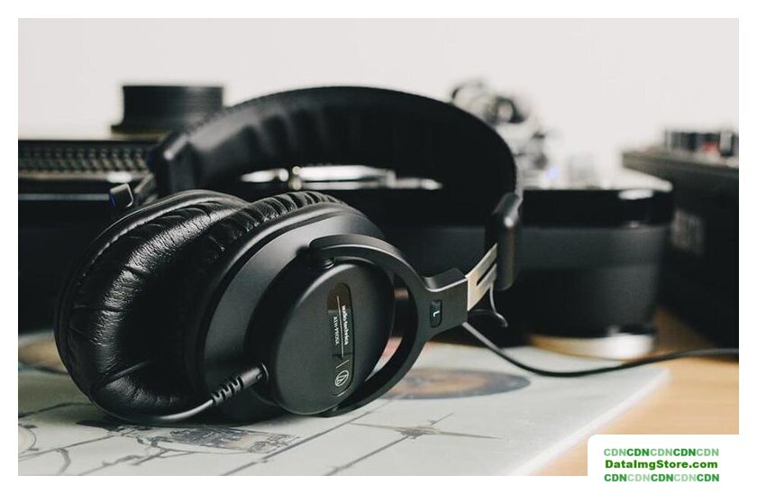 Наушники Audio-Technica ATH-PRO5X (черный) - Изображение №6 — buytech