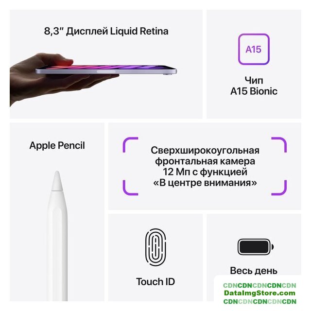 Планшет Apple iPad mini 2021 64GB 5G MK8E3 (фиолетовый) - Изображение №8 — buytech