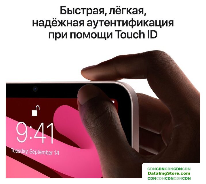 Планшет Apple iPad mini 2021 64GB 5G MK893 (серый космос) - Изображение №5 — buytech