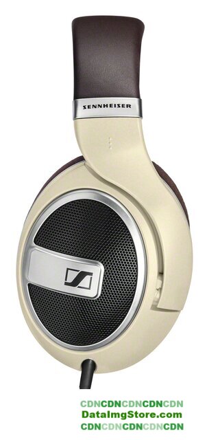 Наушники Sennheiser HD 599 [506831] - Изображение №3 — buytech
