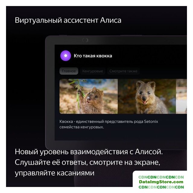 Колонка с умным дисплеем Яндекс Станция Дуо Макс (красный) - Изображение №5 — buytech