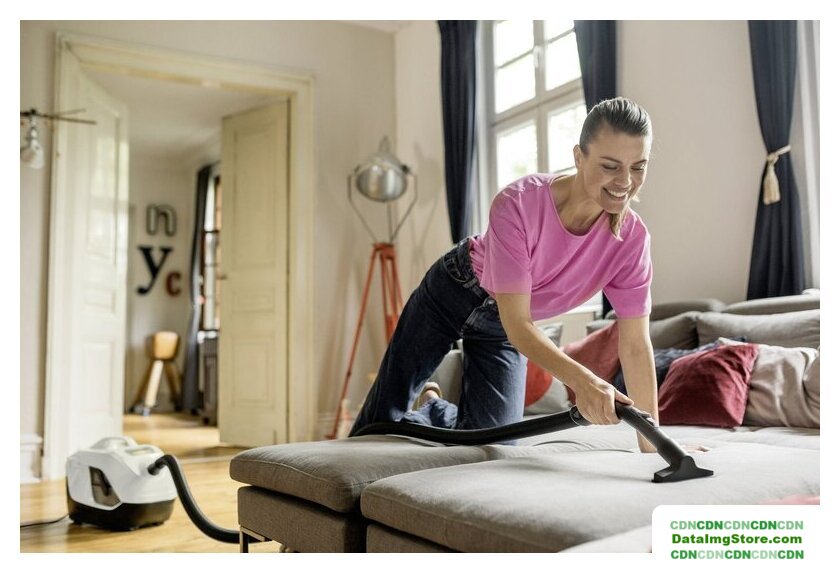 Пылесос Karcher DS 6 1.195-250.0 - Изображение №5 — buytech