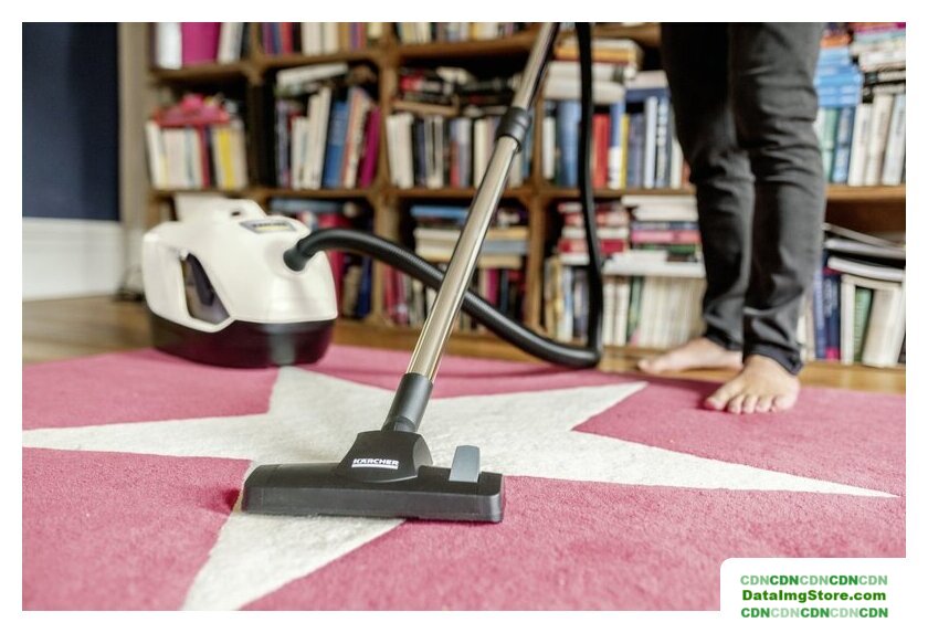 Пылесос Karcher DS 6 1.195-250.0 - Изображение №3 — buytech