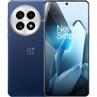 OnePlus 13 12GB/512GB китайская версия (синий)