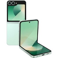Samsung Galaxy Z Flip6 SM-F741B 12GB/512GB (мятный)