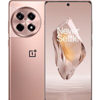 OnePlus Ace 3 16GB/512GB китайская версия (бронзовый)
